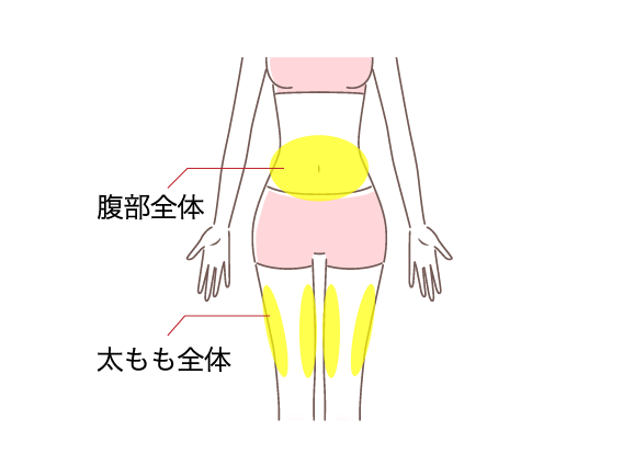 腹部全体、太もも全体