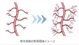 新生欠陥の形成促進イメージ