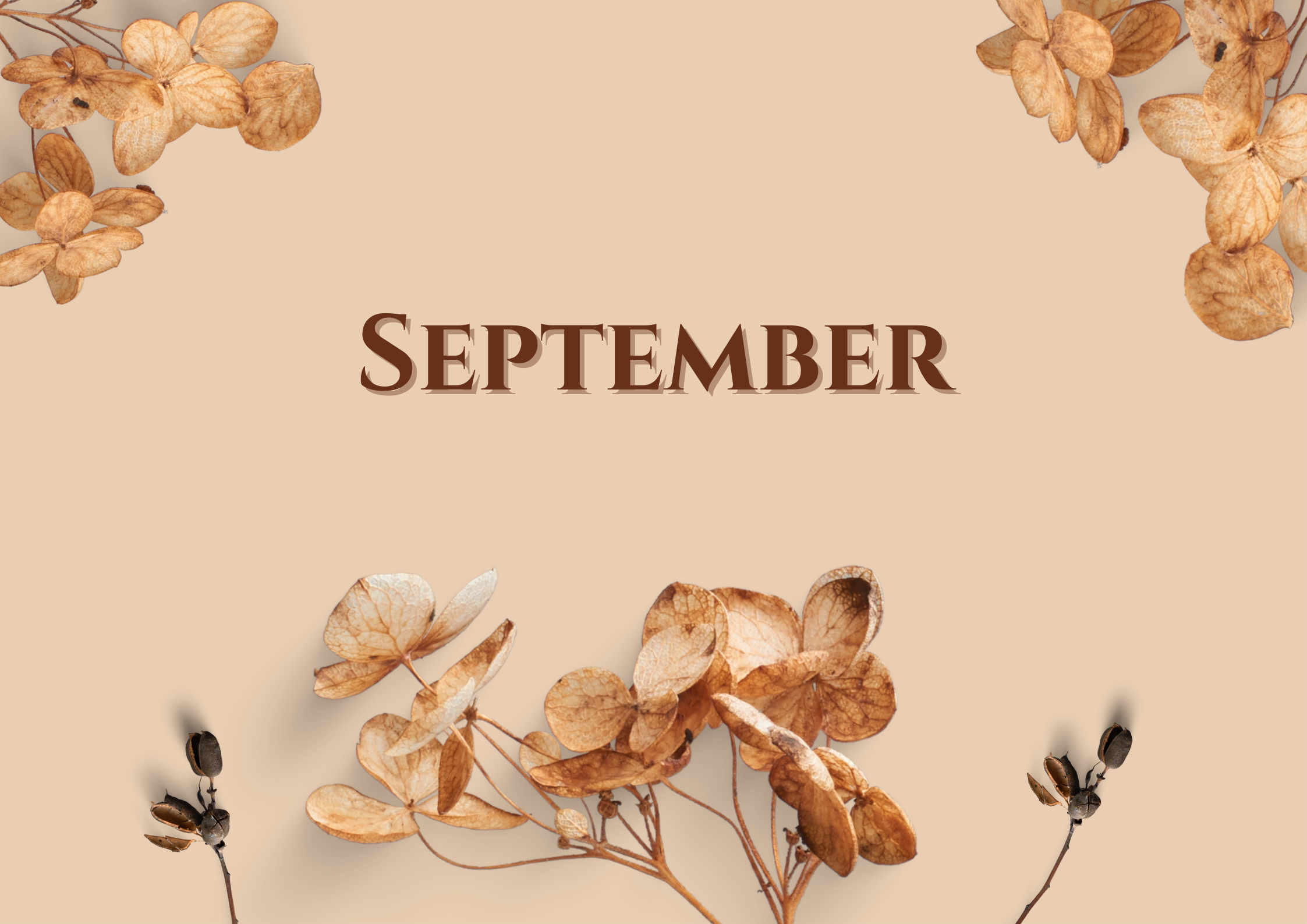 長月｜September